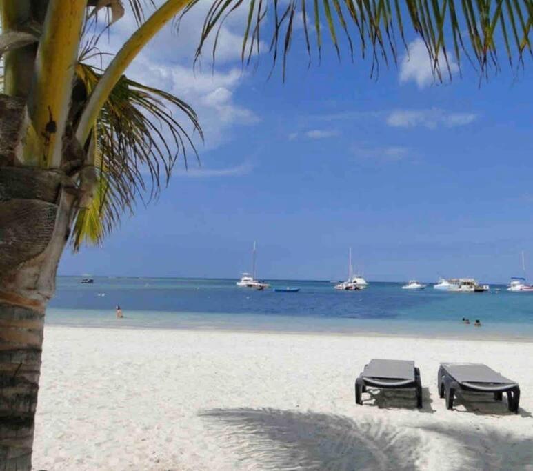 Hermoso Apartamento Con Vista Al Mar! Los Corales Punta Cana Eksteriør billede
